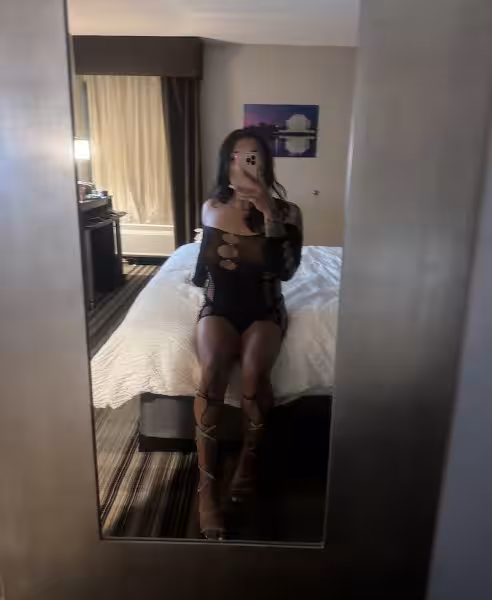 Escort/Massage TS Tatted Princess in Tysons Corner, VA