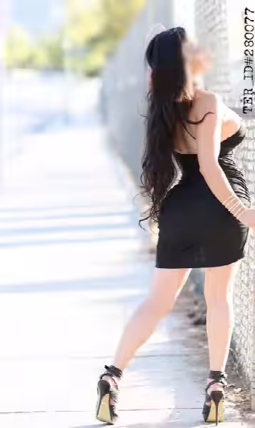 Escort/Massage Selena in Bellevue, WA