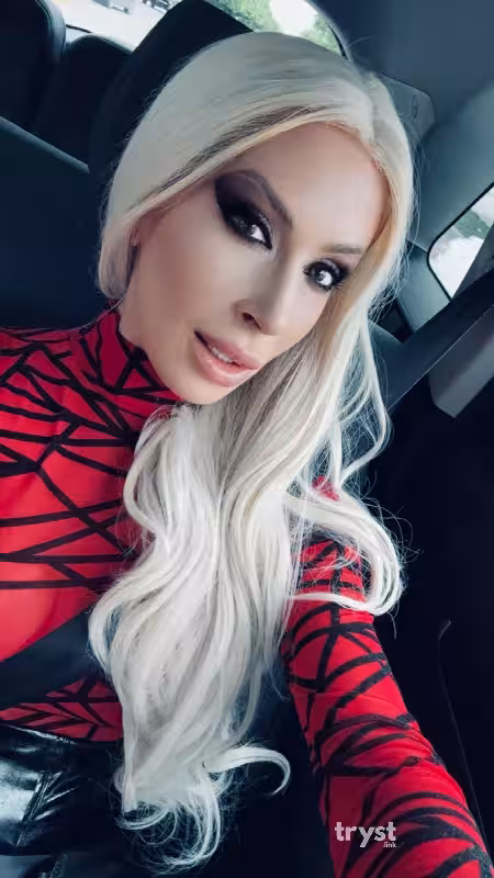 companion/S&M Ace Andrews in Houston, TX