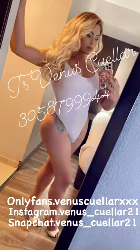 companion/Massage TS Venus Cuellar in Miami, FL
