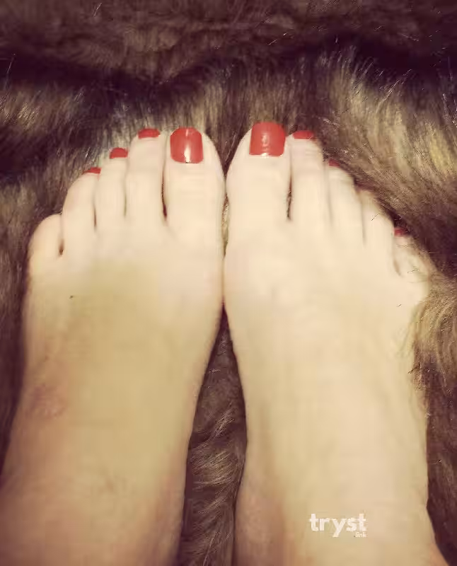 companion/Massage Betty in Minneapolis, MN