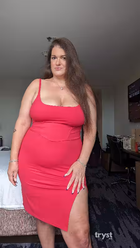 companion Kristal Kitty in Tysons Corner, VA