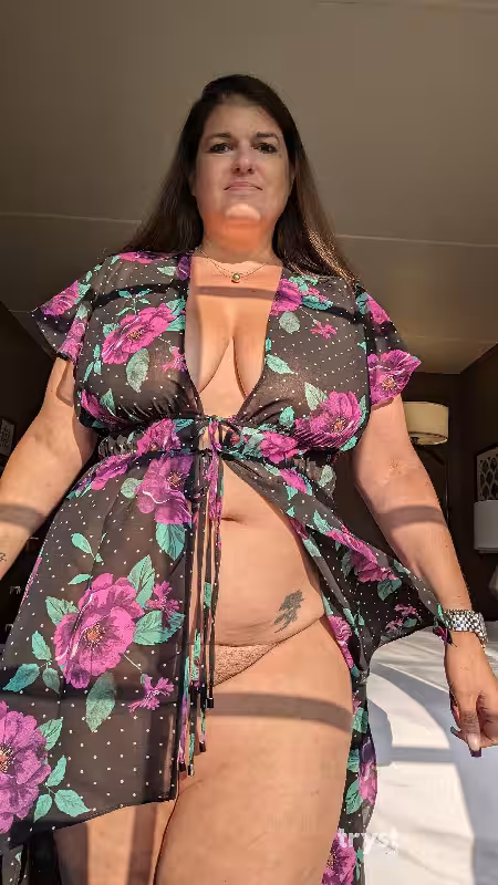 companion Kristal Kitty in Tysons Corner, VA